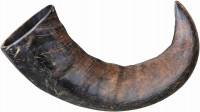 Купити корм для собак Trixie Buffalo Chewing Horn L  за ціною від 218 грн.