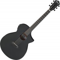 Купити гітара Ibanez AEWC13  за ціною від 17499 грн.