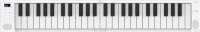 Купить цифровое пианино Blackstar Carry-On Folding Piano 49: цена от 5064 грн.