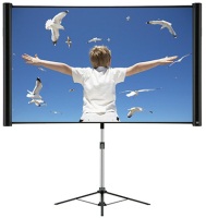 Купить проекционный экран Epson Multi-format 3-in-1 (190x110) по цене от 8980 грн.