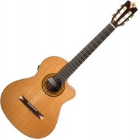 Купить гитара Alhambra 5P CW E8  по цене от 58680 грн.