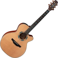 Купить гитара Takamine LTD2023  по цене от 144606 грн.