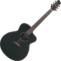 Купити гітара Ibanez JGM10  за ціною від 124740 грн.