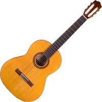 Купить гітара Cordoba Dolce: цена от 23478 грн.