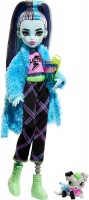 Купити лялька Monster High Creepover Party Frankie Stein HKY68  за ціною від 1100 грн.