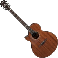 Купить гітара Ibanez AE295L: цена от 20777 грн.