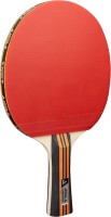 Купить ракетка для настольного тенниса Joola Family Advanced  по цене от 2399 грн.