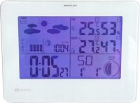 Купить метеостанція Terdens 3625: цена от 2655 грн.