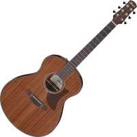 Купить гитара Ibanez AAM54  по цене от 14999 грн.