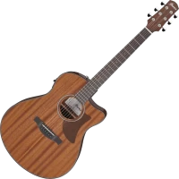 Купити гітара Ibanez AAM54CE  за ціною від 15092 грн.