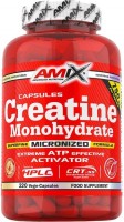 Купити креатин Amix Creatine Monohydrate 750 mg (220 cap) за ціною від 799 грн.