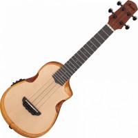 Купить гитара Ibanez AUC10E  по цене от 8100 грн.
