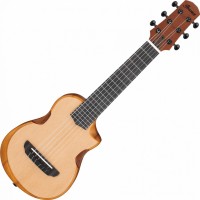 Купить гитара Ibanez AUP10N  по цене от 8000 грн.