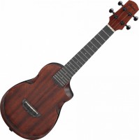 Купить гитара Ibanez AUC14  по цене от 9200 грн.