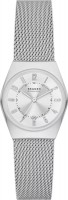 Купить наручний годинник Skagen Grenen Lille SKW3038: цена от 7520 грн.