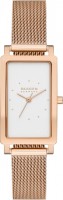 Купить наручний годинник Skagen Hagen SKW3095: цена от 8940 грн.