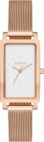 Купити наручний годинник Skagen Hagen SKW3095  за ціною від 7599 грн.