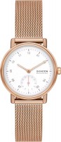 Купить наручные часы Skagen Kuppel Lille SKW3099  по цене от 8940 грн.