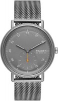 Купить наручний годинник Skagen Kuppel SKW6891: цена от 8940 грн.