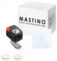 Купить система защиты от протечек Mastino TS2 1/2" light: цена от 7499 грн.