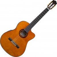 Купити гітара Prima MCG603cQ  за ціною від 8112 грн.