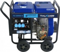 Купить електрогенератор Thunder TS-12000-D: цена от 37699 грн.