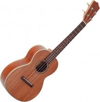 Купить гітара Prima MU200T: цена от 2714 грн.