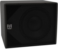 Купити сабвуфер Martin Audio SX112  за ціною від 52400 грн.