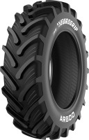 Купить грузовая шина TVS AR800 (420/85 R30 143D) по цене от 30833 грн.