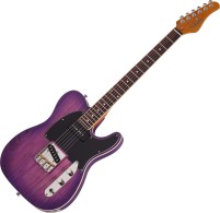 Купить гитара Schecter PT Special: цена от 37499 грн.