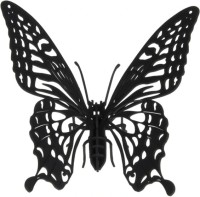 Купить 3D-пазл Fridolin Butterfly 11607: цена от 130 грн.