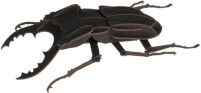 Купить 3D-пазл Fridolin Stag Beetle 11606: цена от 130 грн.