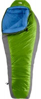 Купити спальний мішок The North Face Snow Leopard 