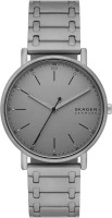 Купити наручний годинник Skagen Signatur SKW6913  за ціною від 4430 грн.