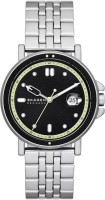 Купить наручные часы Skagen Signatur SKW6919  по цене от 5460 грн.