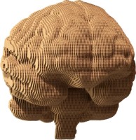 Купить 3D-пазл Сartonic Brain: цена от 899 грн.