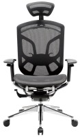 Купить компьютерное кресло GT Chair Dvary X: цена от 37890 грн.