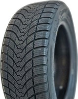 Купити шини Tercelo Blue Snow (205/55 R16 91V) за ціною від 2205 грн.