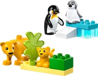 Купить конструктор Lego Wild Animal Families Penguins and Lions 10442: цена от 299 грн.