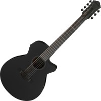 Купить гітара Ibanez AEG721: цена от 21618 грн.
