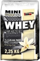 описание, цены на Vision Nutrition Whey Gainer