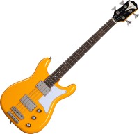 Купити електрогітара / бас-гітара Epiphone Newport Bass  за ціною від 27999 грн.