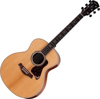 Купить гітара Taylor Gold Label 814e: цена от 266099 грн.