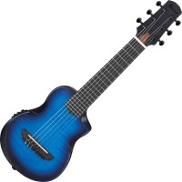 Купити гітара Ibanez AUP10FMNE за ціною від 18999 грн.