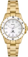 Купити наручний годинник FOSSIL Blue Dive ES5350 за ціною від 6380 грн.