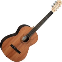 Купити гітара Ortega R16PC за ціною від 16674 грн.