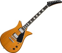 Купити електрогітара / бас-гітара Gibson Theodore Standard за ціною від 103147 грн.