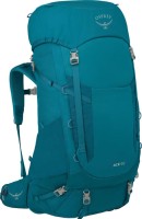 Купить рюкзак Osprey Ace 65 O/S: цена от 10366 грн.