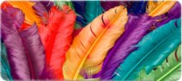 Купити килимок для мишки Voltronic Power Bird Feathers за ціною від 213 грн.