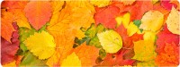 Купить килимок для мишки Voltronic Power Autumn Leaves: цена от 119 грн.